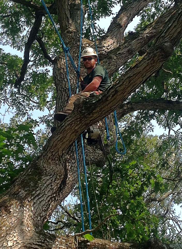 Brennan Tree Service Crane